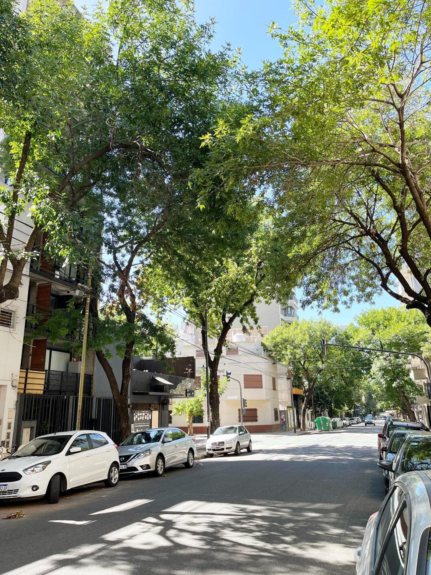 Apartamento Mono Ambiente En Palermo Hollywood *